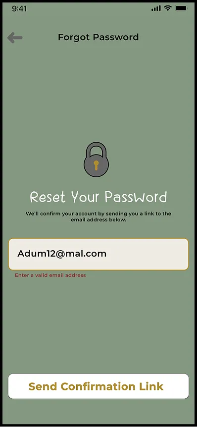 Reset password with an invalid email error